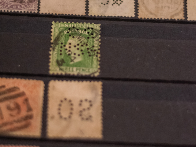 20240525-_DSC8822